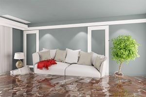 water damage documentation