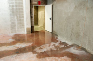 basement water damage example